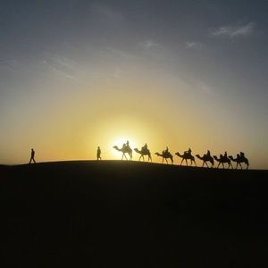 Meet your Posher, Carol